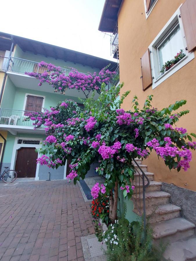 La Bougainville - Luxury Apartment Torbole Sul Garda Bagian luar foto